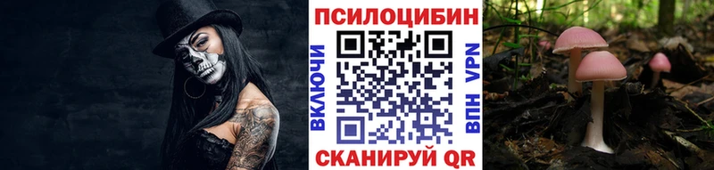 где найти darknet клад Псилоцибиновые грибы GOLDEN TEACHER Сургут